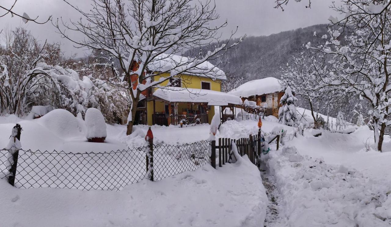 Std "Vila Bor" Stara Planina Crni Vrh Exterior photo