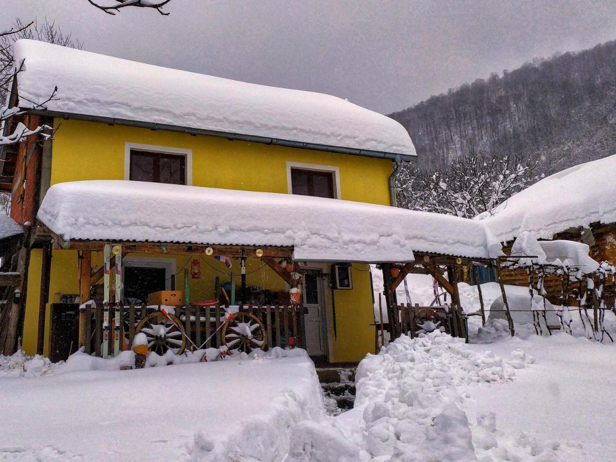 Std "Vila Bor" Stara Planina Crni Vrh Exterior photo