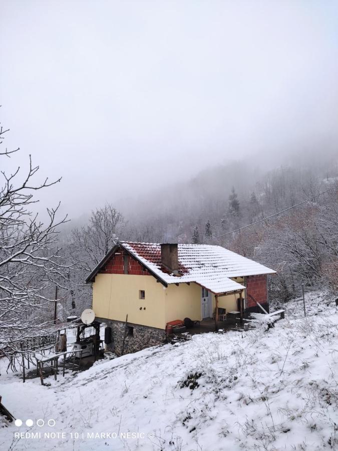 Std "Vila Bor" Stara Planina Crni Vrh Exterior photo