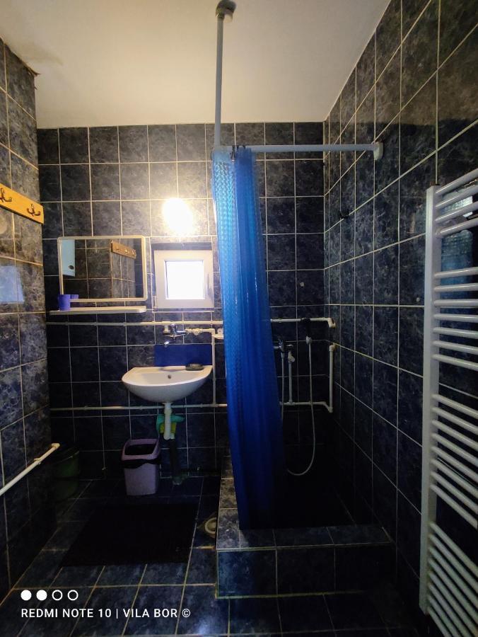 Std "Vila Bor" Stara Planina Crni Vrh Exterior photo