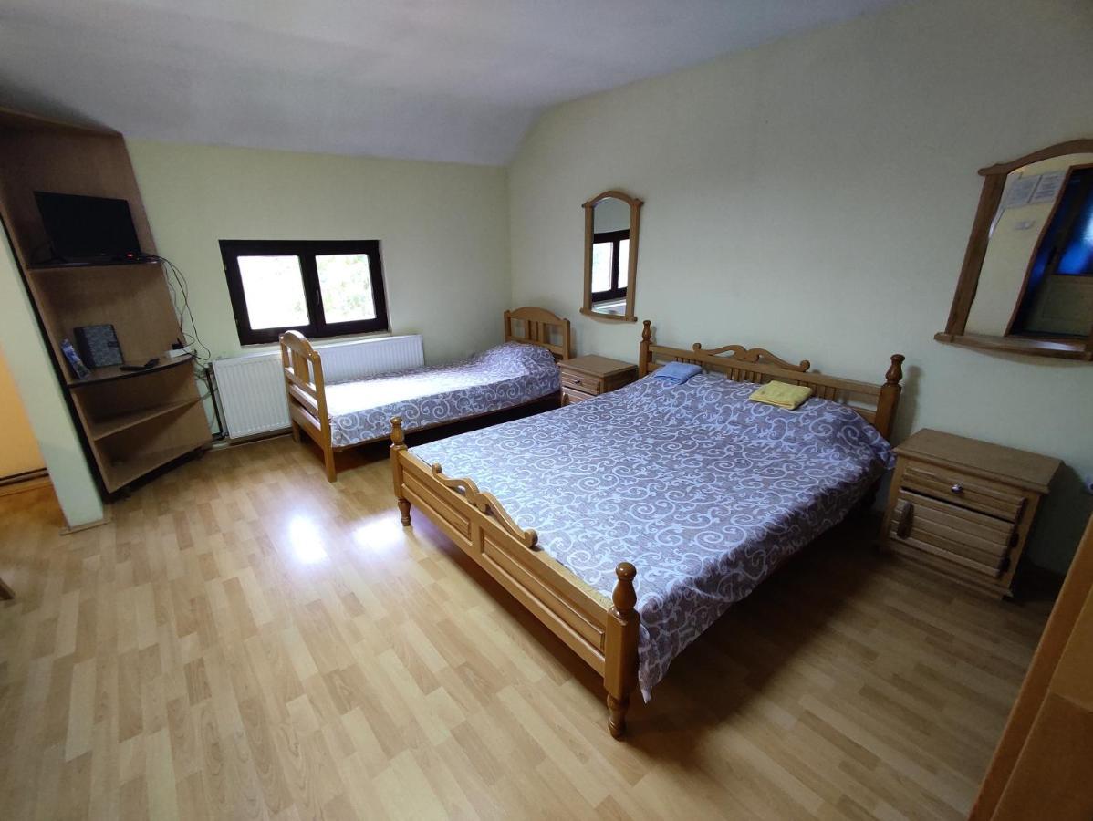 Std "Vila Bor" Stara Planina Crni Vrh Exterior photo