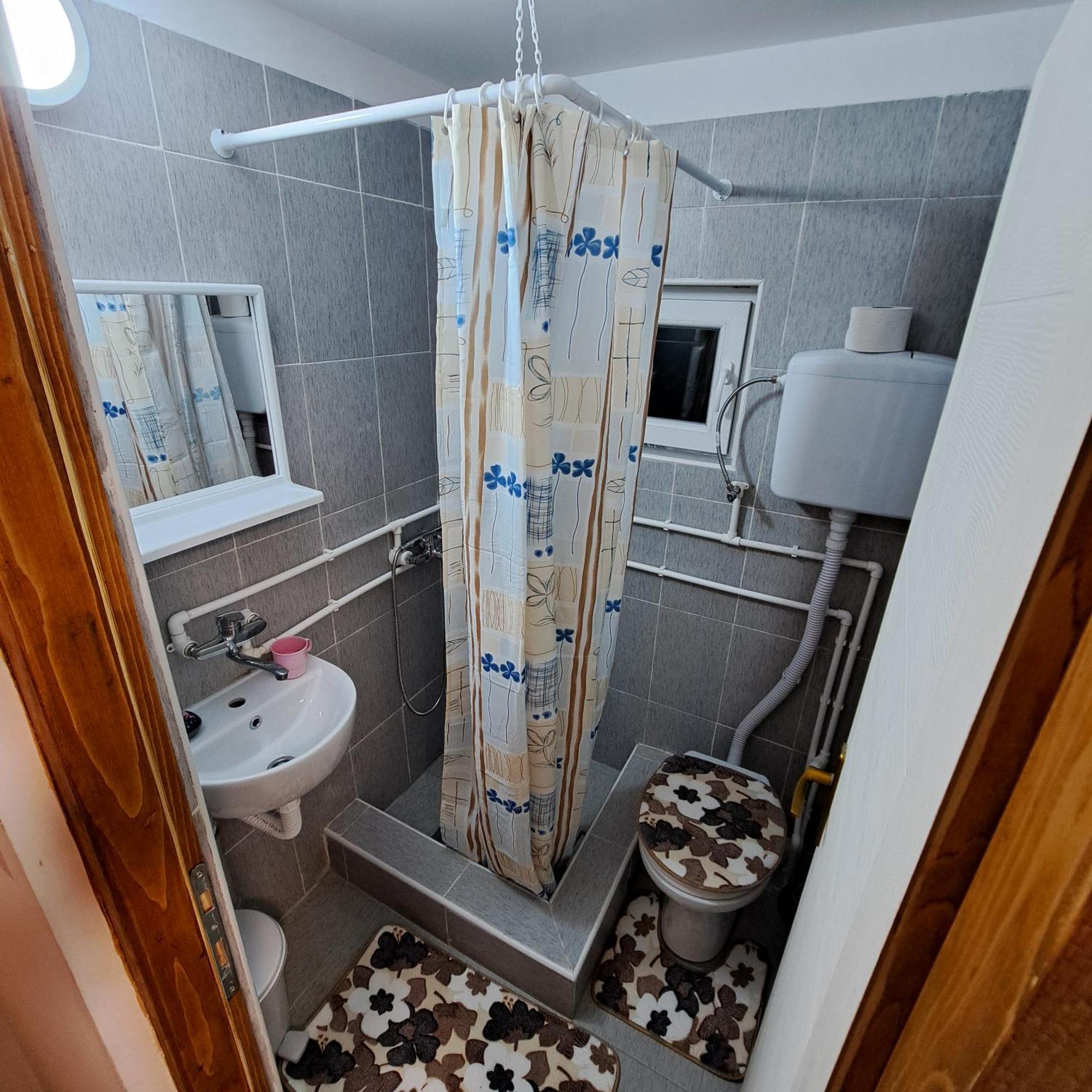 Std "Vila Bor" Stara Planina Crni Vrh Exterior photo
