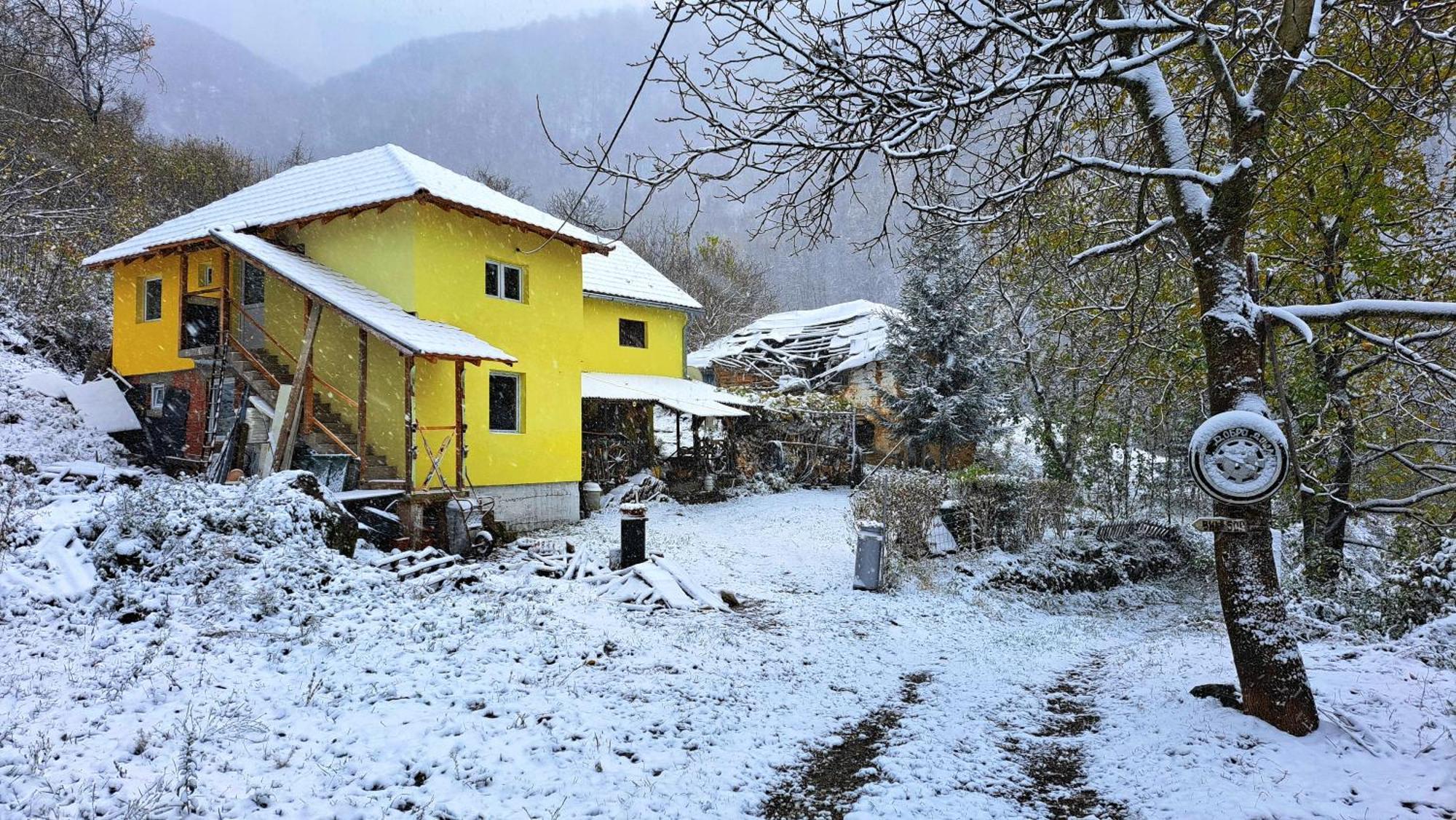 Std "Vila Bor" Stara Planina Crni Vrh Exterior photo