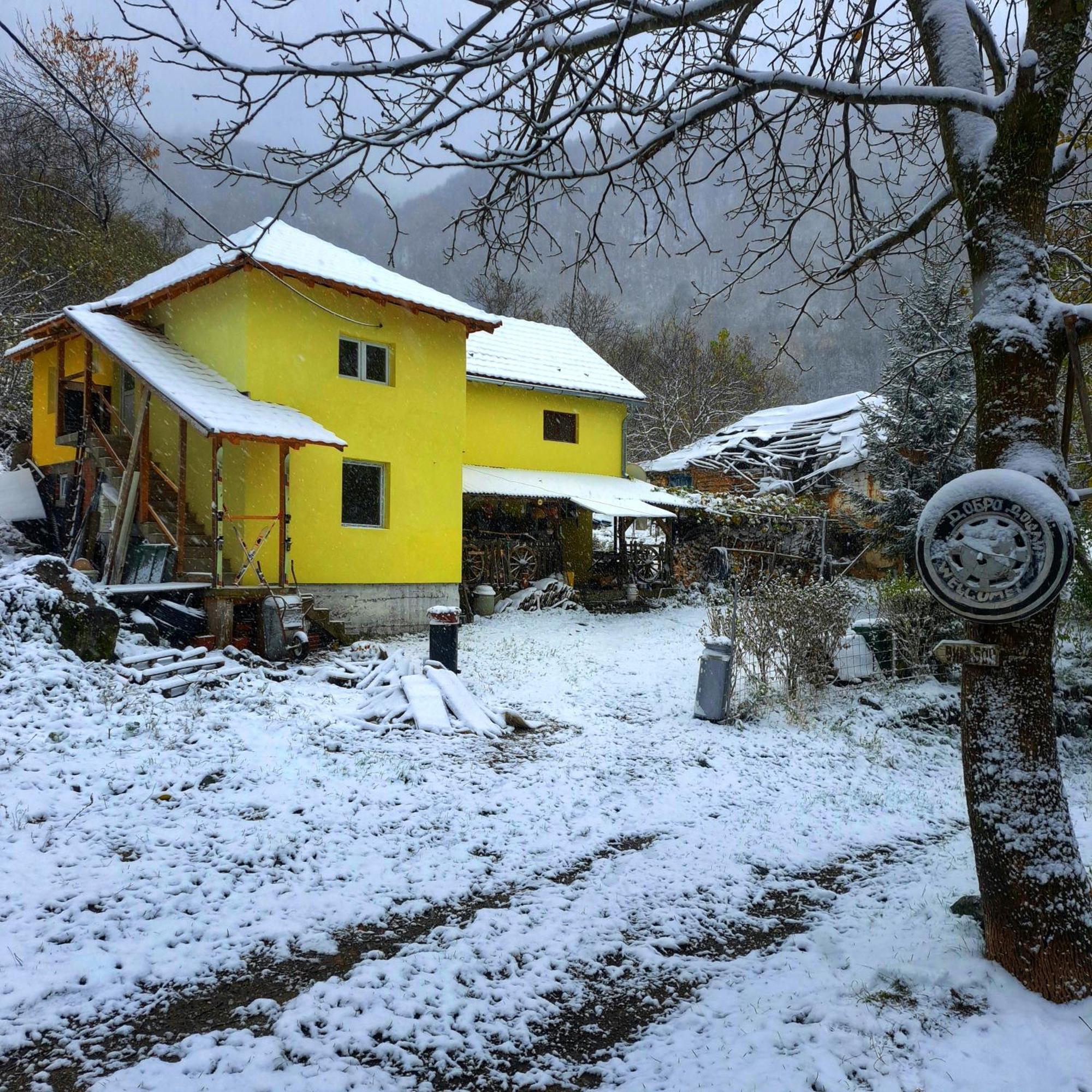 Std "Vila Bor" Stara Planina Crni Vrh Exterior photo