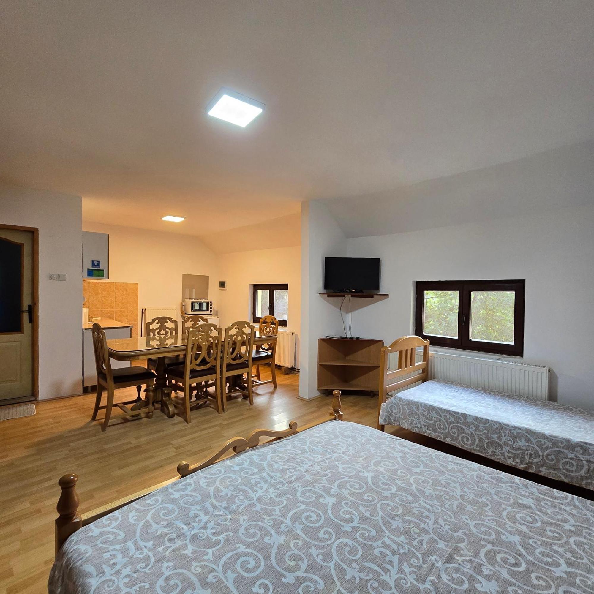Std "Vila Bor" Stara Planina Crni Vrh Exterior photo