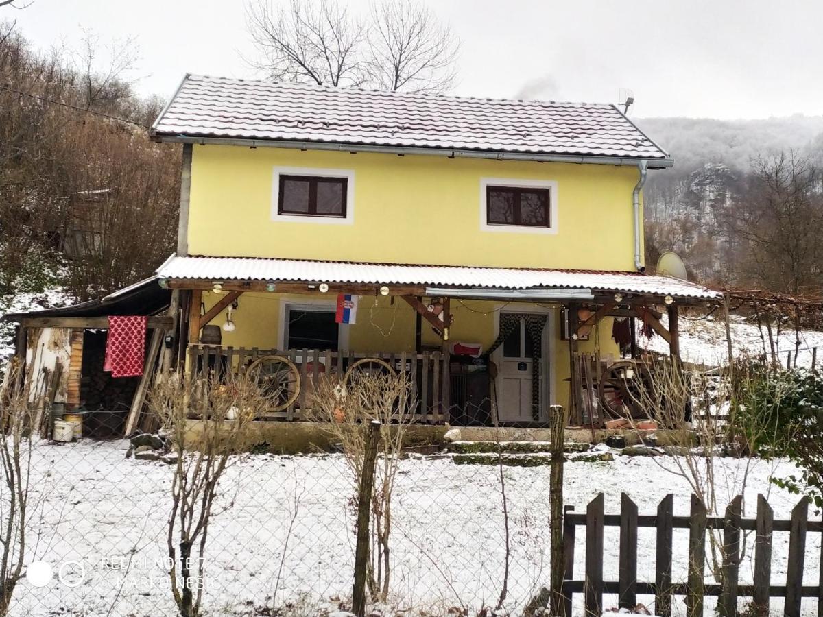 Std "Vila Bor" Stara Planina Crni Vrh Exterior photo